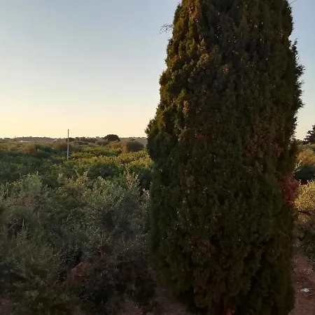 Διαμέρισμα Alcova Di Puglia